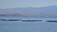 Hirfanlı Gölü 'balık üretim üssü' oluyor