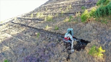 Iğdır'ın çorak arazilerinde geçen yıl 200 bin fidan ve tohum toprakla buluşturuldu