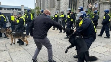 İngiltere'nin Plymouth kentinde polis, aşırı sağcılara köpeklerle müdahale etti