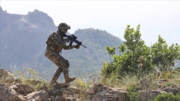 Irak'ın kuzeyindeki Metina bölgesinde 4 PKK'lı terörist etkisiz hale getirildi