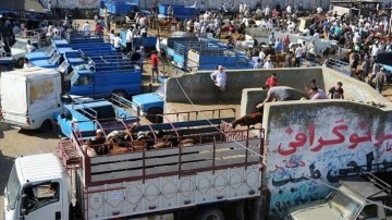İran'ın 'en büyük ikinci' hayvan pazarında bayram öncesi büyük yoğunluk yaşanıyor