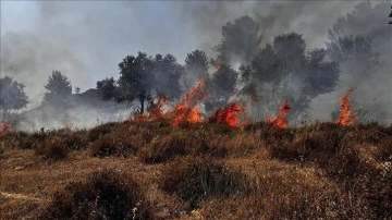İsrail ordusu, Lübnan'ın güneyinde yangın çıkarmak için "mancınıkla" saldırı düzenliy