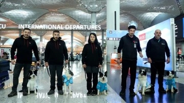 İstanbul Havalimanı'nda "terapi köpekleri" göreve başladı