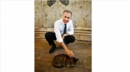 İstanbul Valisi Yerlikaya'dan Ayasofya'nın kedisi 'Gli'yle ilgili paylaşım