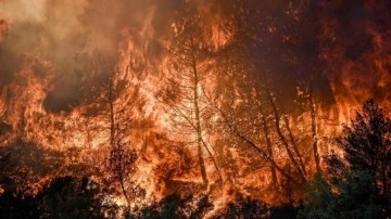 İtalya'nın Elba Adası'ndaki orman yangını sebebiyle yaklaşık 700 kişi tahliye edildi