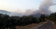 İzmir Bayındır’da orman yangını