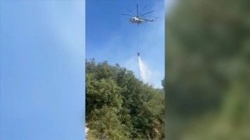 İzmir Bergama'da çamlıkta çıkan yangın kontrol altına alındı