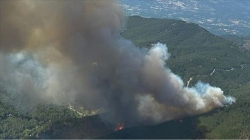 İzmir Bergama'da ormanlık alanda çıkan yangına müdahale ediliyor