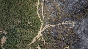 İzmir Bornova'da yanan orman alanı havadan görüntülendi