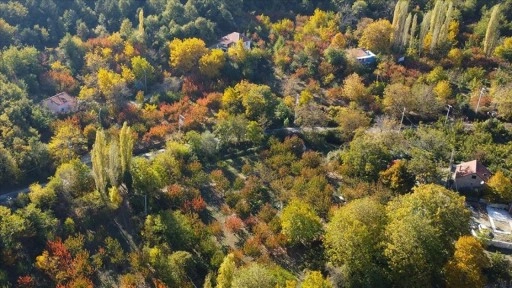 İzmir'de Ovacık Yaylası'ndaki doğa güzellikleri hazan renkleriyle görüntülendi