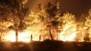 İzmir'deki orman yangınını söndürme çalışması devam ediyor