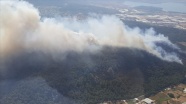 İzmir'in Menderes ilçesinde orman yangını çıktı