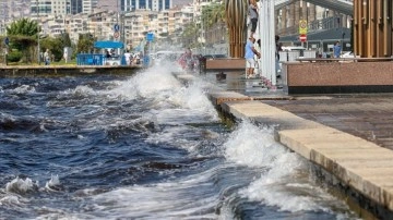 İzmir Körfezi'nde mikrobiyal denge sıkı kontrolle yeniden kurulabilir