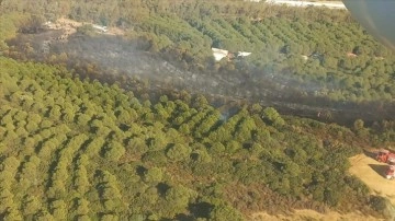 İzmir'de çıkan orman yangını kontrol altında