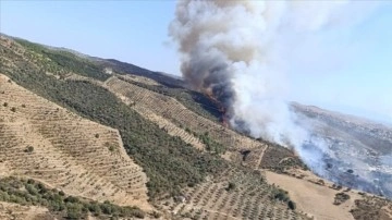 İzmir'de makilik alanda çıkan yangın kontrol altına alındı