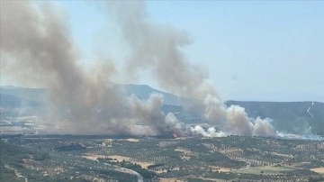 İzmir'de makilik alanda yangın çıktı