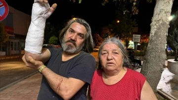 İzmir'de sahipsiz köpeklerden kaçarken kolu kırılan kişi, belediyeden şikayetçi oldu