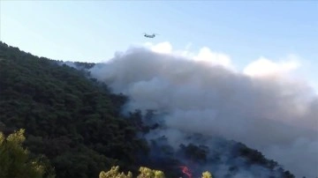 İzmir'deki orman yangınına havadan müdahaleye yeniden başlandı