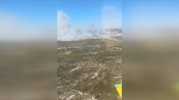İzmir'in Çeşme ilçesinde ormanlık alanda çıkan yangına müdahale ediliyor