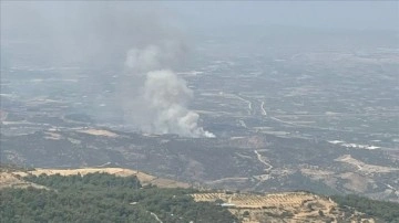 İzmir'in Menemen ilçesinde çıkan orman yangınına müdahale ediliyor