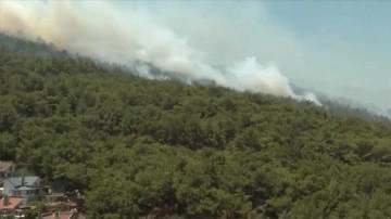 İzmir'in Urla ilçesinde çıkan orman yangınına müdahale ediliyor