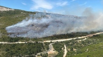 İzmir'in Urla ve Dikili ilçelerinde ormanlık alanlarda yangın çıktı