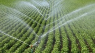 İzmirli çiftçi modern sulamayla 415 milyon lira gelir sağladı