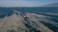 İzmit Körfezi&#039;nden 2 ayda 150 ton deniz salyası toplandı