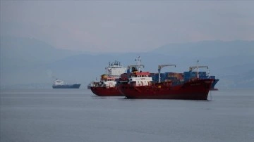 İzmit Körfezi'ndeki limanlara geçen yıl 9 bin 560 yük gemisi uğradı
