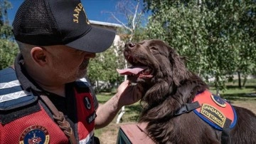 Jandarmanın narkotik dedektör köpekleri düzenli eğitimle her an göreve hazır