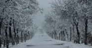 Kar Diyarbakır'da bir başka güzel