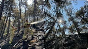 Karabük'te kontrol altına alınan orman yangınında soğutma çalışmaları sürüyor