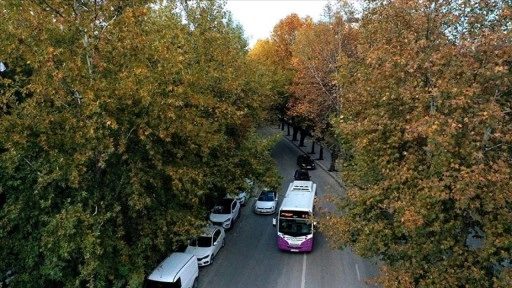 Karaçomak Deresi boyunca uzanan ağaçların sonbahar renkleri dron ile görüntülendi