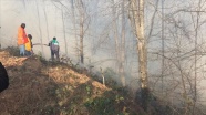 Karadeniz Bölgesi'ndeki tüm yangınlar kontrol altına alındı