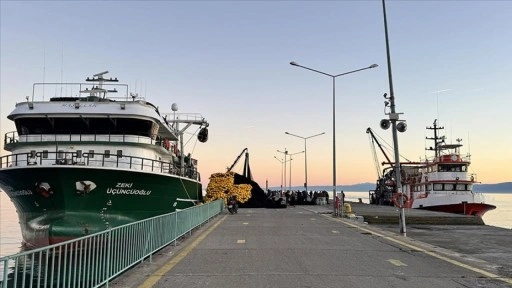 Karadeniz'de avlanan balıkçıların güvenli mola alanı Sinop Limanı