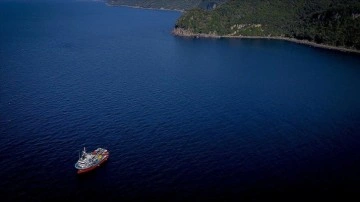 Karadeniz'de deniz suyu sıcaklığı düştü avcılık arttı