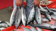Karadenizli balıkçılar yeni sezondan umutlu