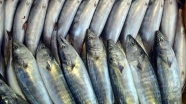 Karadenizli balıkçılara palamut avı uyarısı