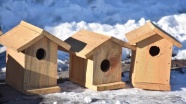 Kars&#039;ta köylülerin kuşların donmaması için yaptığı mini yuvalar yürekleri ısıttı