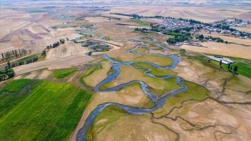 Kars'ta menderesler oluşturan Telek Suyu tarım ve hayvancılığa hayat veriyor