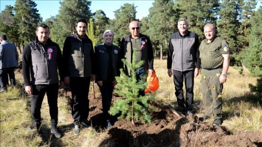 Kars'ta Sarıkamış ve Çanakkale şehitleri anısına hatıra ormanı oluşturuldu