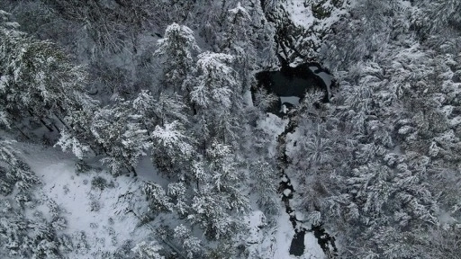 Kastamonu'da Kocagöl ve çevresindeki ormanlar kar yağışı sonrasında beyaz örtüyle kaplandı