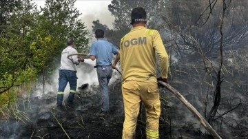 Kastamonu'da ormanlık alanda çıkan yangına müdahale ediliyor