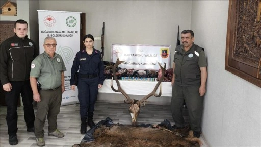 Kastamonu'da yakalanan avcıların evinde geyik eti ve bu etten yapılan sucuk ele geçirildi