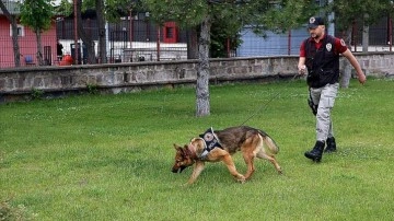 Kayseri'de iz takip köpeği &quot;Reks&quot; kayıpların bulunmasında önemli rol üstleniyor