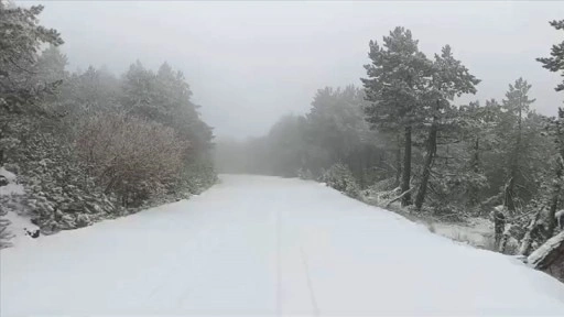 Kazdağı Milli Parkı beyaza büründü