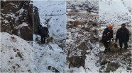 Keçisi kayalıklarda mahsur kalan besicinin yardımına AFAD yetişti