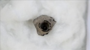 Kilis&#039;te 4 bin yıllık olduğu tahmin edilen nar kabuğu bulundu