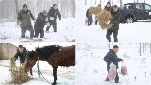 Kırklareli'nde ekipler karlı yolları aşıp yaban hayvanları için doğaya yem bıraktı