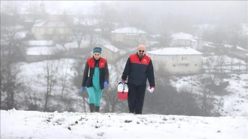 Kırklareli'nde veteriner hekimler hayvanların sağlığı için karlı yolları aşıyor